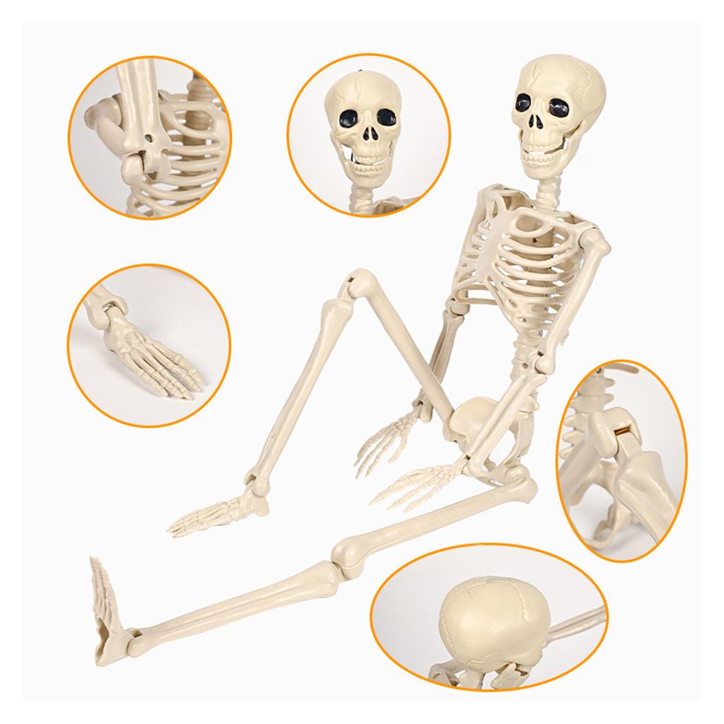 Szkielet w naturalnej wielkości, ruchomy, pełen ciała, dekoracja na Halloween z ruchomymi stawami, na imprezę, przerażające rekwizyty do nawiedzonego domu