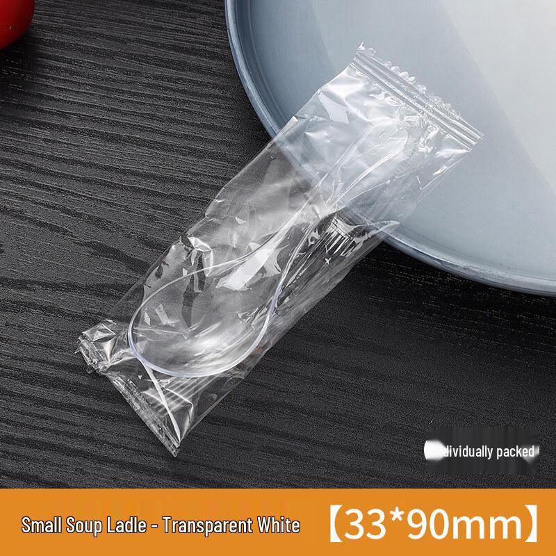 ZISIZ Disposable Plastic Spoons