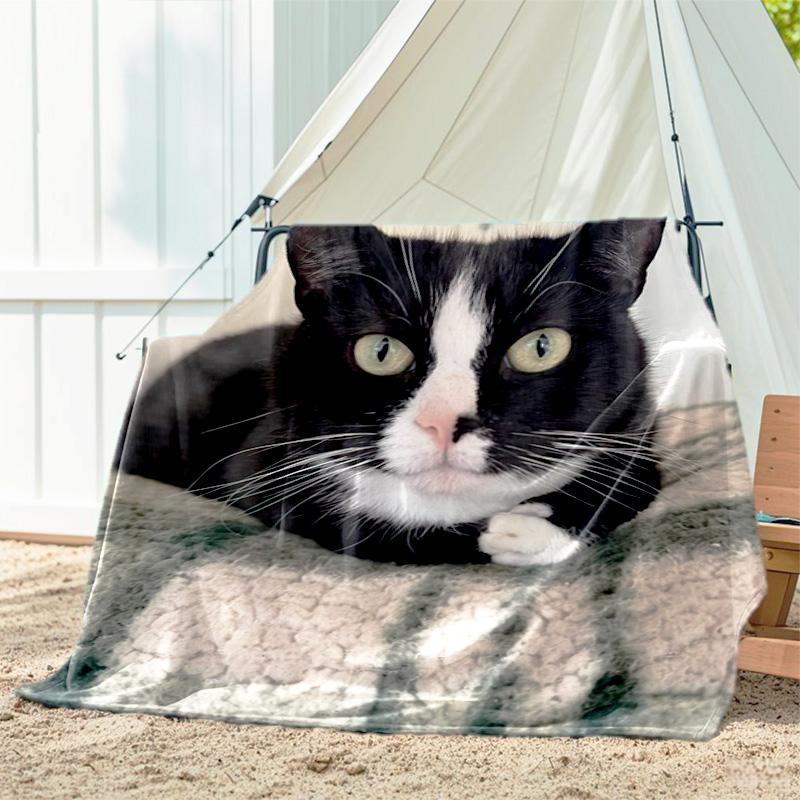 1pc Animals: rabbit, cat, pattern blanket, all season lightweight home office outdoor nap multifunctional blanket
