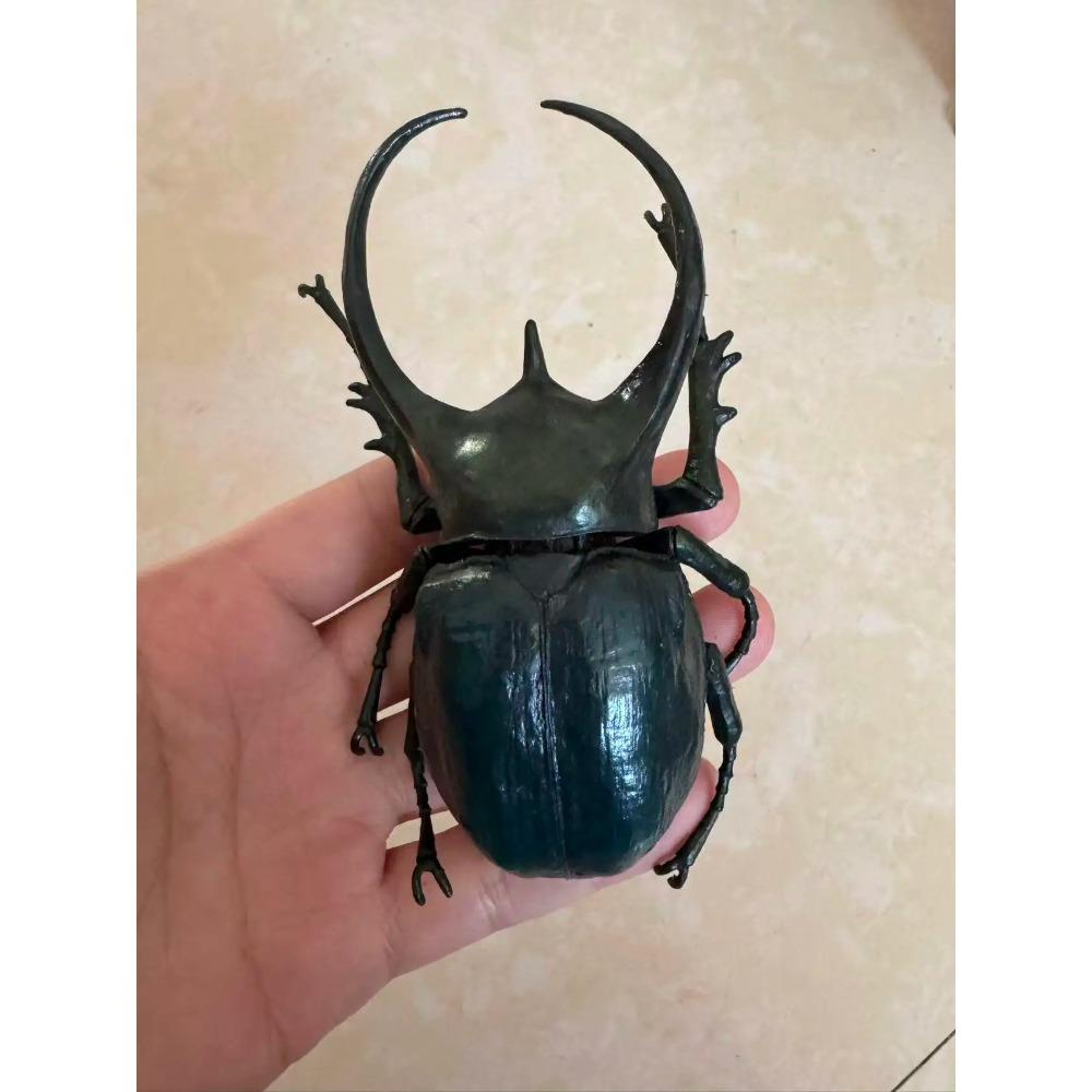 Biographical Analysis of Deer Antler Beetle plus Claw Shaped Insect Beetle Gacha Simulation Animal Movable Joints Figure Playthings