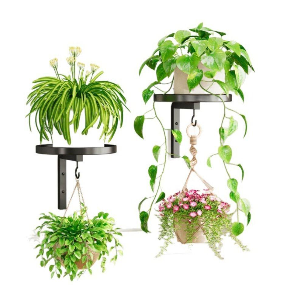 Raised Tray Edge Plant Display Stand Carbon Steel Flower Pot Rack  Window Display