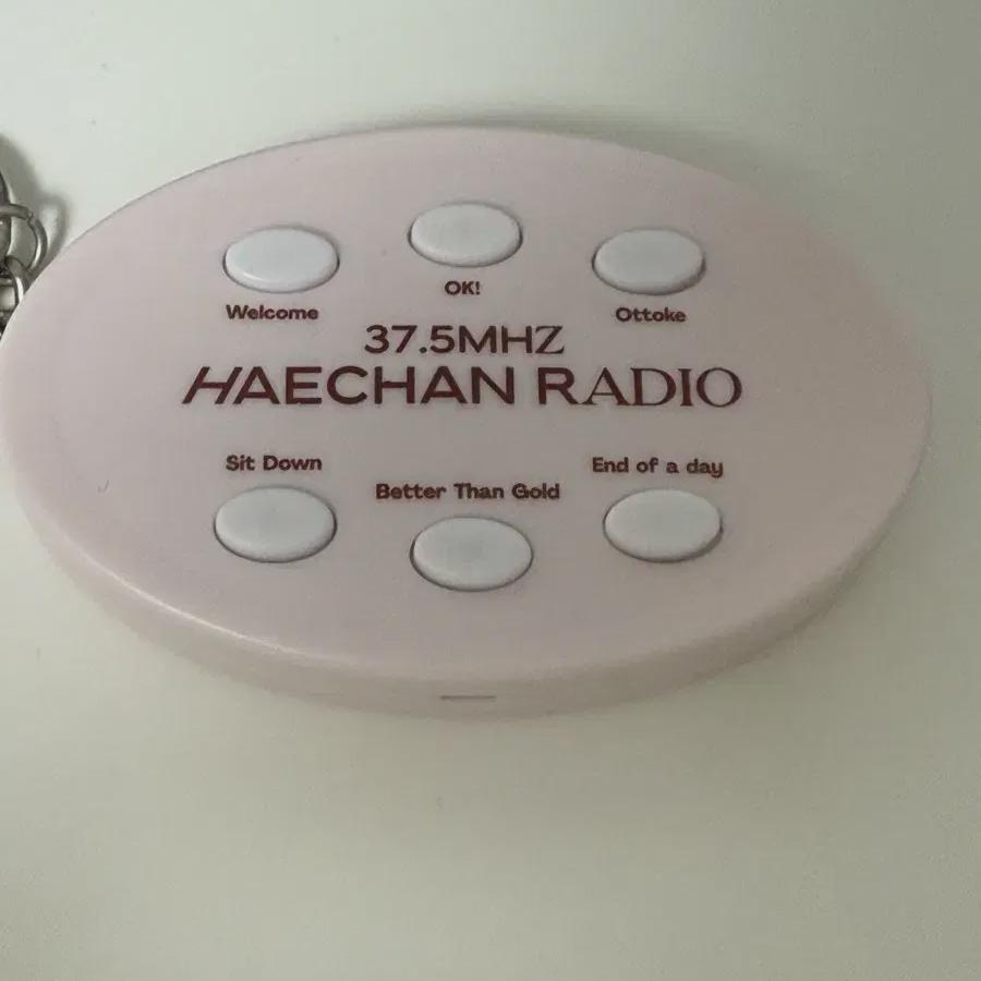 

NCT Брелок для ключей с голосом Хэчана