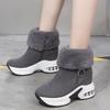 Autumn and Winter Fashion New with Plush Warm Women's Boots Thick Soled Height Increasing Hairy Short Boots Women's Shoes