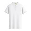 Men's 2024 Ice Silk Cool Short Sleeve Polo Shirt, Solid Color Lapel, Casual Summer Style