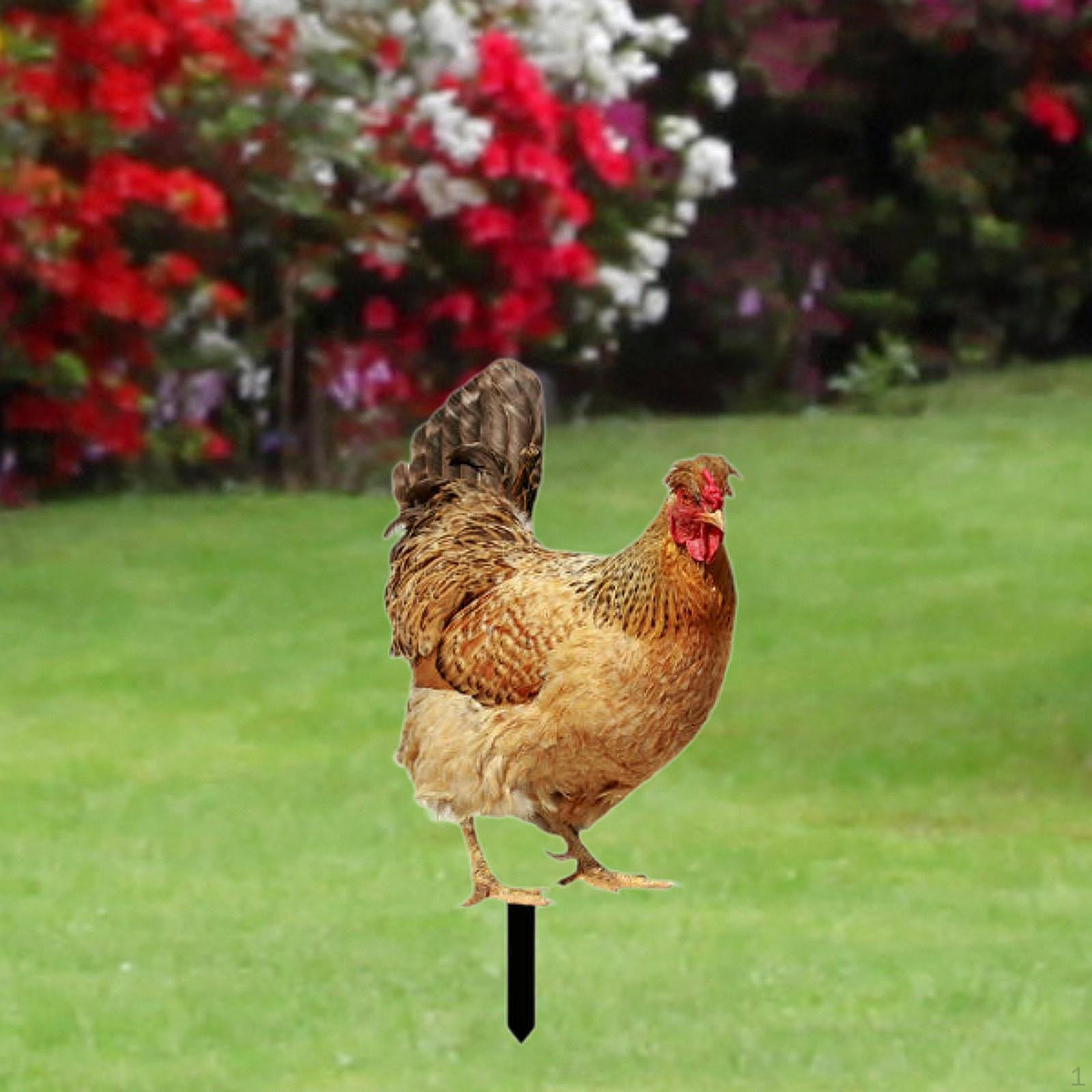 

Charming Hen Outdoor Garden Ornament Style A