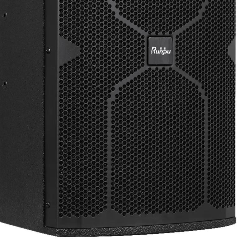 Runpu Professional Dual 10-inch Passive Conference Speaker (CN version)