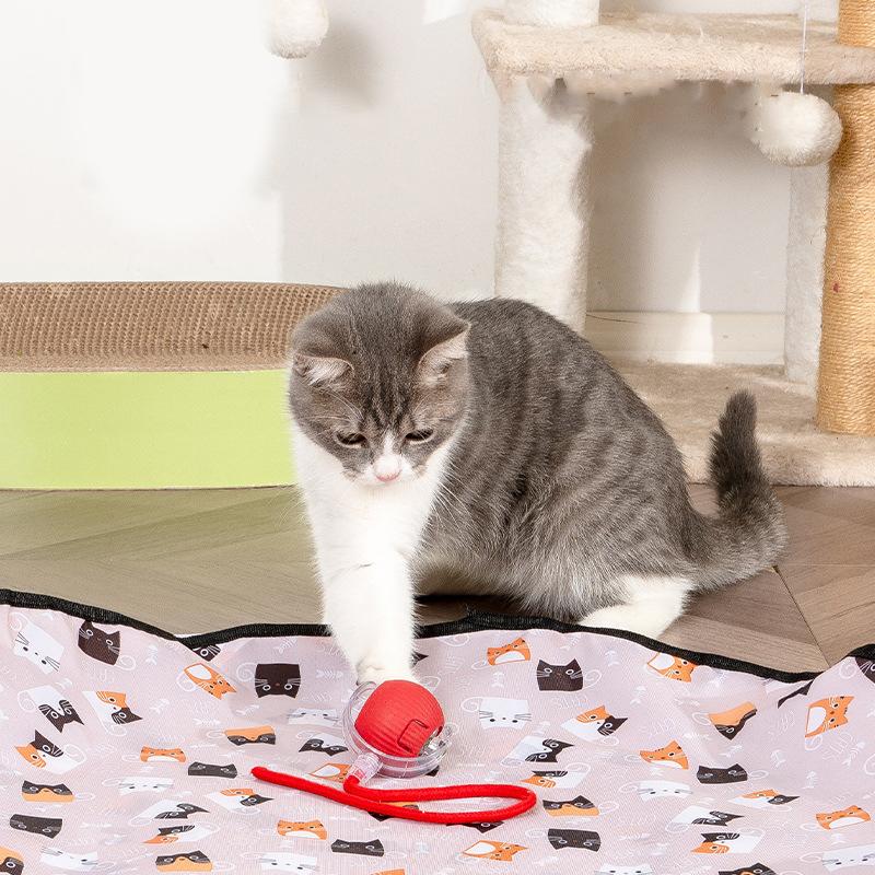 Interactive Cat Toys Ball Fast Rolling In Pouch Hide And Seek Kitten Toy Motion Activated Interactive Cat Toy For Indoor