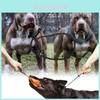 Durable And Comfortable Pet Training Choke Rope For Large Dogs Black Nylon Design