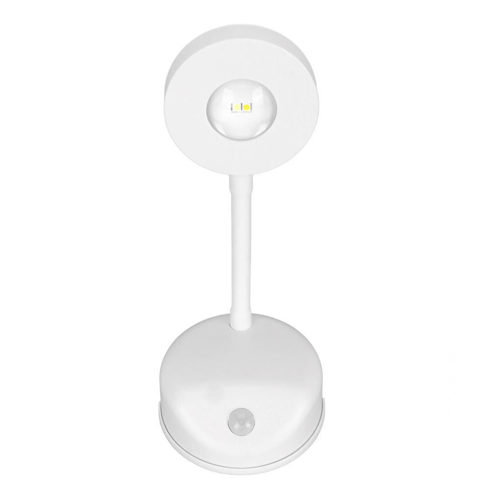 LED Motion Sensor Picture Light Battery Operated Rechargeable Wall Sconce Dimmable 3 Color