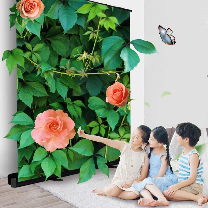 Hongye 75-inch 16:9 White Fiberglass Floor-Pull Portable Projector Screen