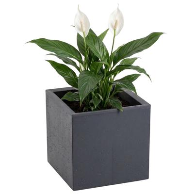 Deko & Wohnaccessoires – Dekorative Blumentöpfe