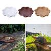 Reptile Dish Set for Small Pets