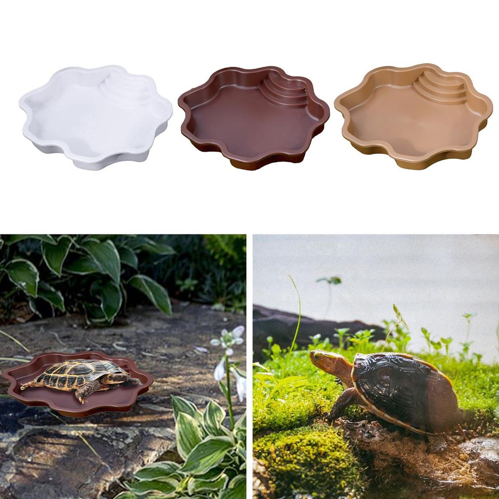 Reptile Dish Set for Small Pets