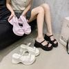 Slippers Versatile Gentle Temperament Fashionable Thick-soled Beach with Cool Slippers Women's Summer 2025 New Skirt Sandals