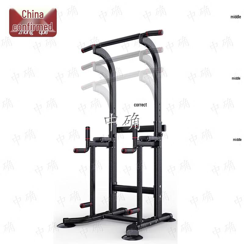 Indoor Pull-Up and Dip Station