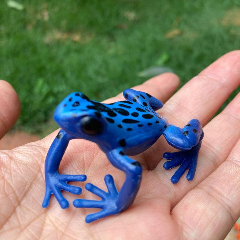 1Pcs Hand Painted Amphibious Animal Figurine Educational Realistic Toad Frog Figure Rubber Animal Model Toy For Kids
