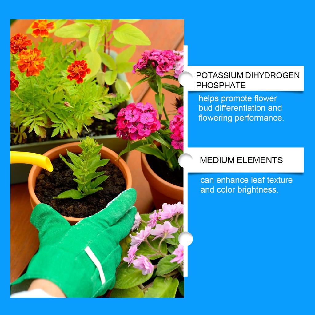 Plant Nutrition Powder Promotes , Increases Leaf Density And Leaves, And Is A Universal Horticultural Fertilizer That Is Easy To Apply By Flushing