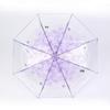 Nan Qiao Automatic Transparent Daisy Foldable Umbrella
