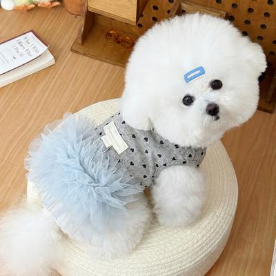 Ropa y calzado – Vestidos para perros