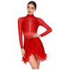 Womens Performance Dance Dress Feathered Hem Rhinestone Adorned Mock Neck Sheer Mesh Sleeve Built In Briefs