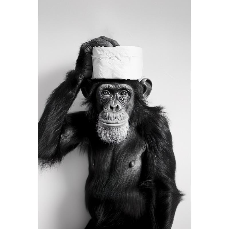 Fun Bathroom Black White Animal Raccoon Tiger Rhino Toilet Paper On Head Posters Printing Wall Painting Bathroom Home Decoration