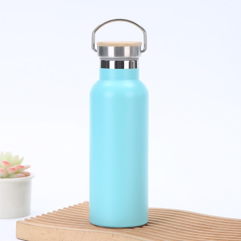 Stainless Steel Water Bottle with Handle Lid, Double Wall Vacuum Insulated Bottle for Sports Hiking Gym