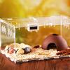 Reptiles Feeding Box Breeding Cases Portable Acrylic Terrarium Clear Insect Habitat for Mini Lizards Pet Centipedes