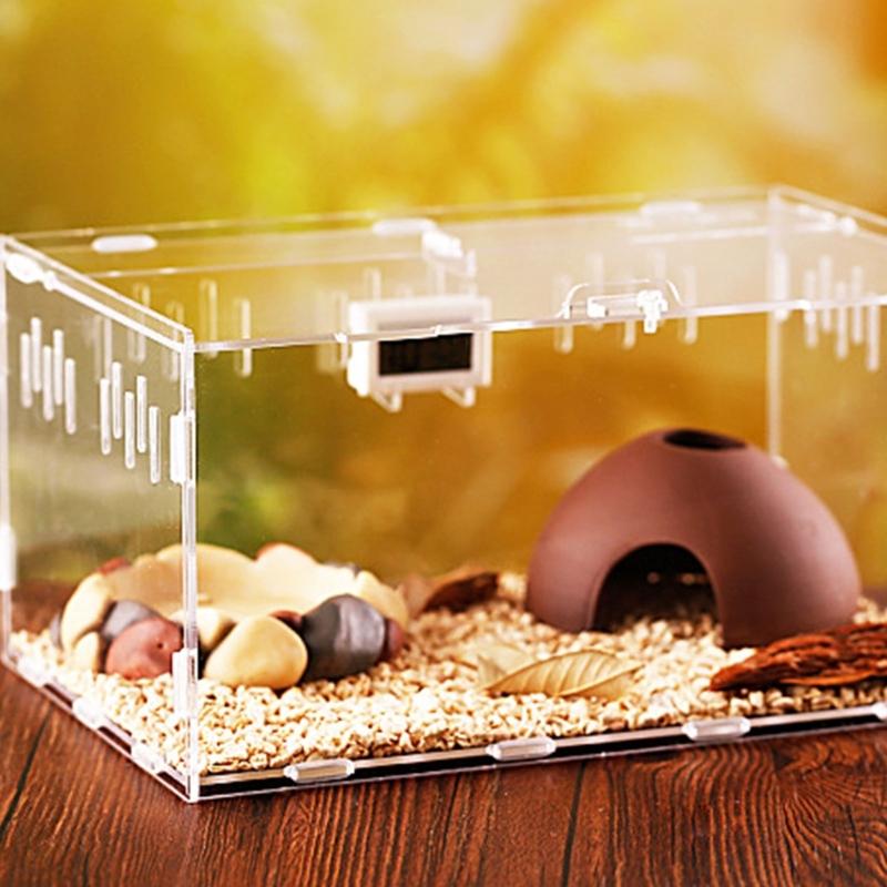 Reptiles Feeding Box Breeding Cases Portable Acrylic Terrarium Clear Insect Habitat for Mini Lizards Pet Centipedes