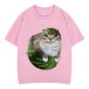 2026 Watermelon Cat Silly Cat Funny Meme T Shirts Unisexs Unisex Clothing Casual Pure Cotton Tshirt Fashion
