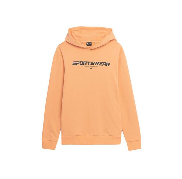 Толстовка 4F TSWSM266 EU L