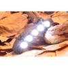 5LED/6LED Clip Cap Light Highlight Headlight Sports Hat Light Lamp Outdoor Sports Night Fishing Lights
