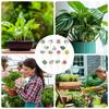 Funny Plant Stakes Set of 15 Plant Labels for Indoor Decorative Waterproof Flower Pot Tags Gardening Signs Succulent Stakes for