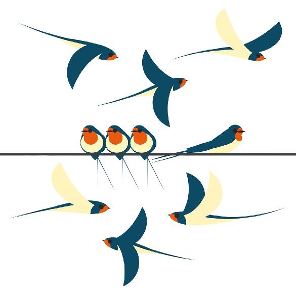 16-Pack Flock of Bird Window Clings - Colourful Window Decals to Prevent Bird Strikes -Double-Sided 1. Swallows Flying
