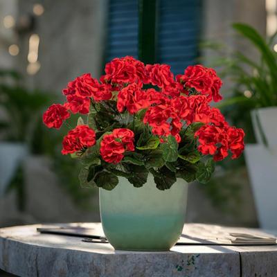 Silk Flower Arrangement Simulation Begonia Flower Lifelike Details