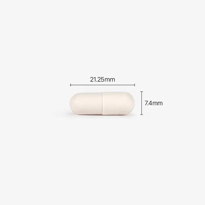 Yellow Premium Quality Lactic Acid Bacteria