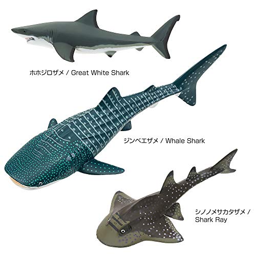 Carolata 3D Illustrated Guide to Sharks (12 Figures / Includes Instruction Manual and Stand) Realistic Toy (Educational Toy) Birthday Gift (Food Sanit