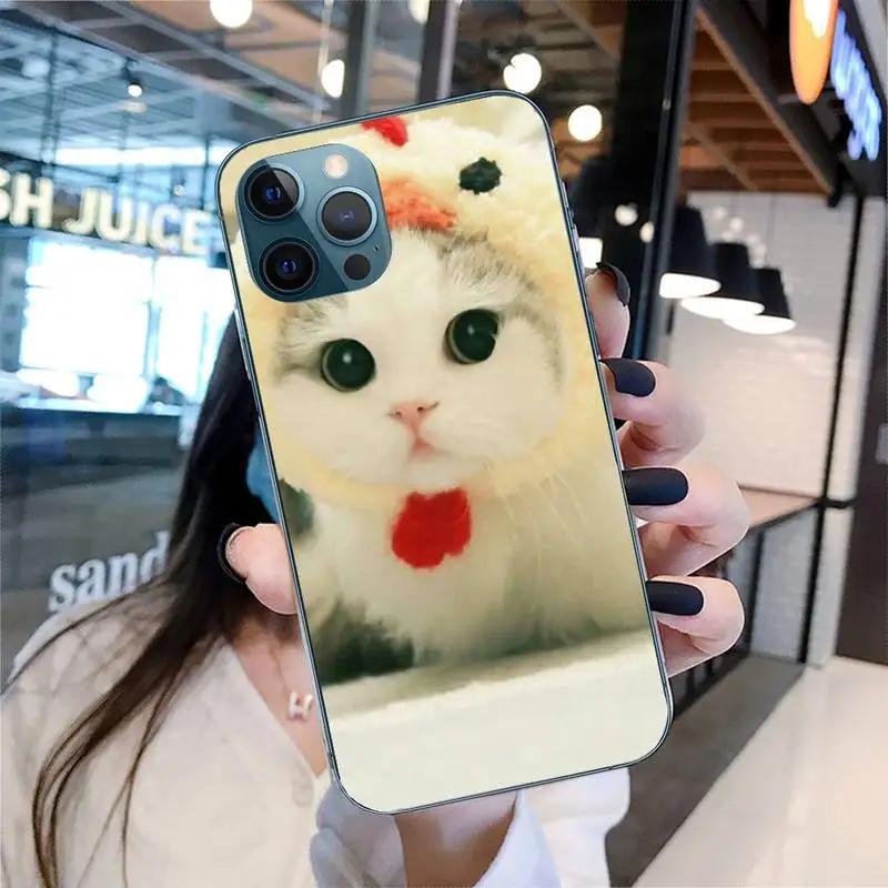 Etui na telefon komórkowy iPhone 15 Mini, urocze etui na telefon komórkowy z motywem kota, malowane, odporne na upadki i chroniące dłoń przed upadkiem.
