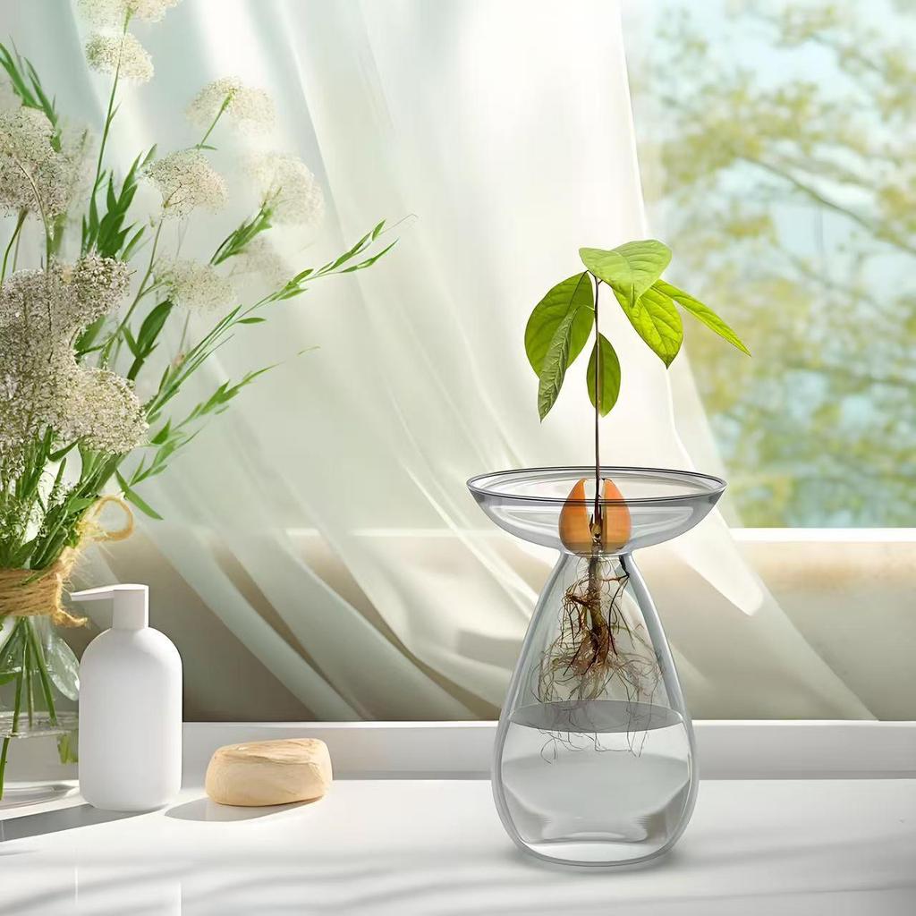 High Borosilicate Avocado Hydroponic Vase for Pit Seed Cultivation