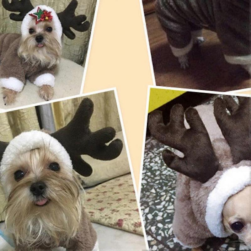 Dog Rabbit Costume Pet Clothes for Autumn Winter Coffee Hoodie