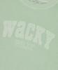 WACKY WILLY Women'S Semi-Overfit Pigment Sweatshirt Mint