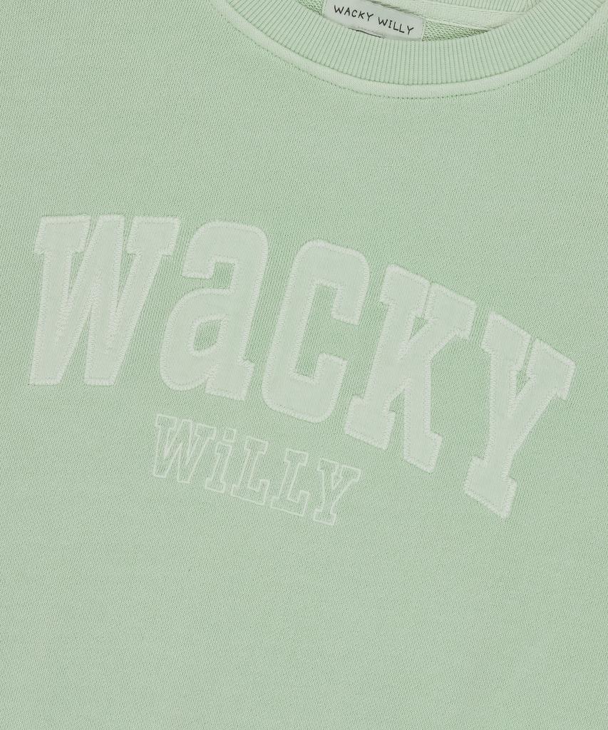 WACKY WILLY Women'S Semi-Overfit Pigment Sweatshirt Mint
