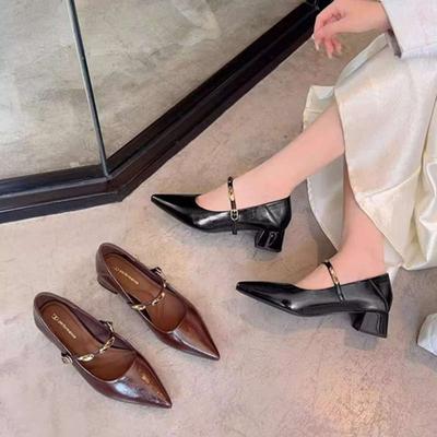 French Brown Pointed Thick Heel Single Shoes Women's Spring and Autumn New Retro Metal One-word with Light Mouth Mary Jane Shoes