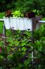 CROWN DCRO600 Railing Flowerpot | White