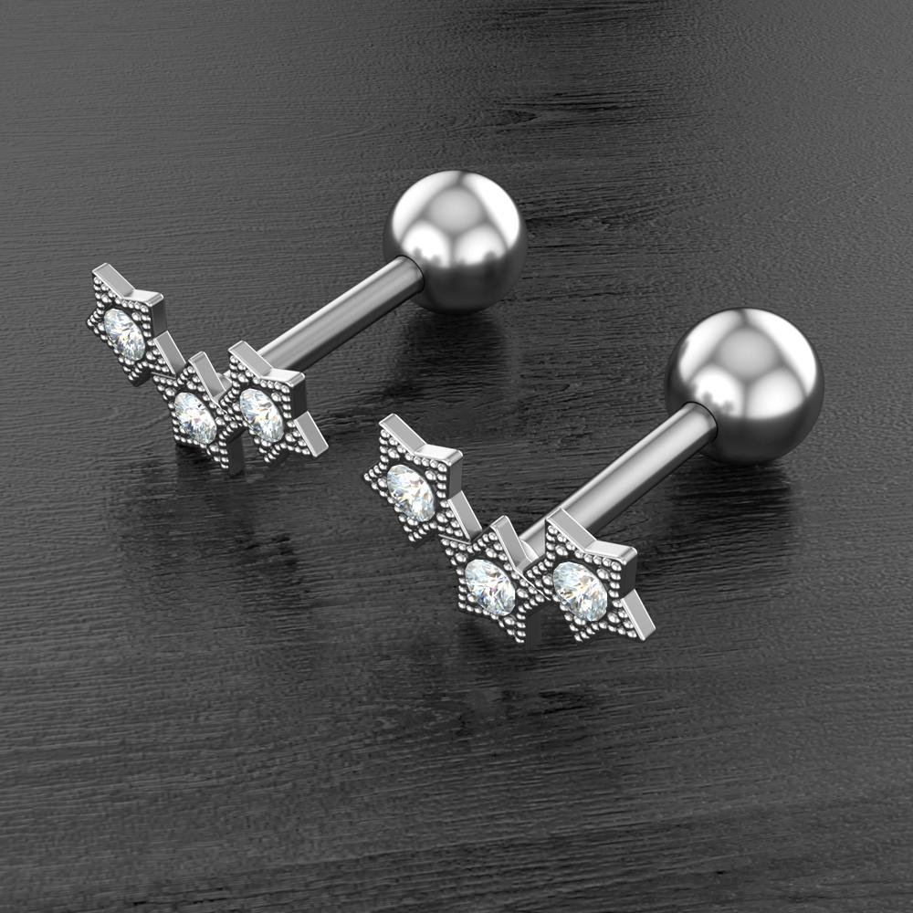 Set 10 Stainless Steel Bar Cartilage Piercing Studs Star Heart Flower Moon Rook Earlobe Screw Statement Earrings Tragus Conch