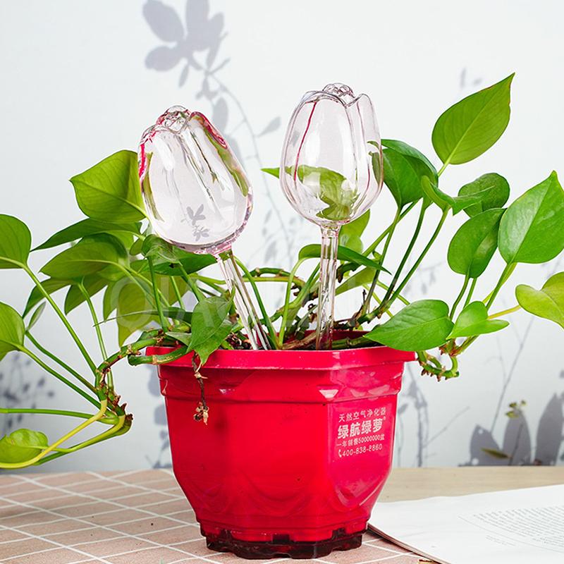 

Автоматические шары для полива растений, декоративные стеклянные конусы в форме тюльпана для полива, автополив для растений, колышки для вставки в почву, ирригация