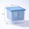 Double-Layer Refrigerator Storage Box Ginger Scallion Onion Containers Sealed Fruits Vegetables Drain Crisper Kitchen Supplies