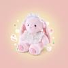 Plush Bunny Toy Naptime Pillow With Soft Pp Cotton For Kids And Teens