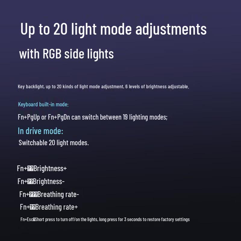 Rapoo V500PRO-98 98-Tasten Mechanische Gaming-Tastatur mit RGB-Hintergrundbeleuchtung, kabelgebunden