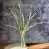 Wabi-sabi Dried Flower Arrangement: Reed, Pine Cones, Cotton, Wheat, Poppy Bouquet