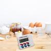 Plastic Count Down Timer For Home Baking Plastic Body Digital Kitchen Timer With Magnetic Backing Accurate Clock